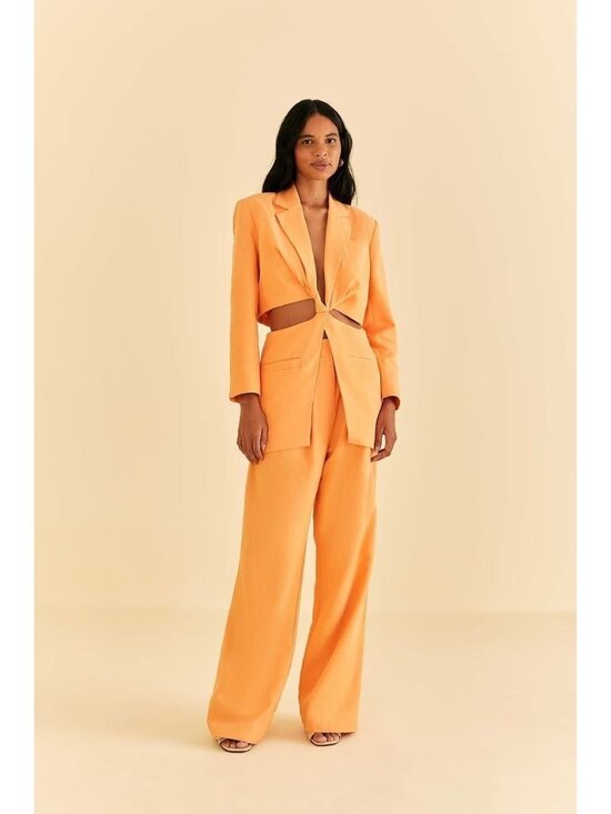 Farm Rio Pants - NWOT FARM Rio Peach Wide-leg Pants Orange Size XXS/ W25 Women's